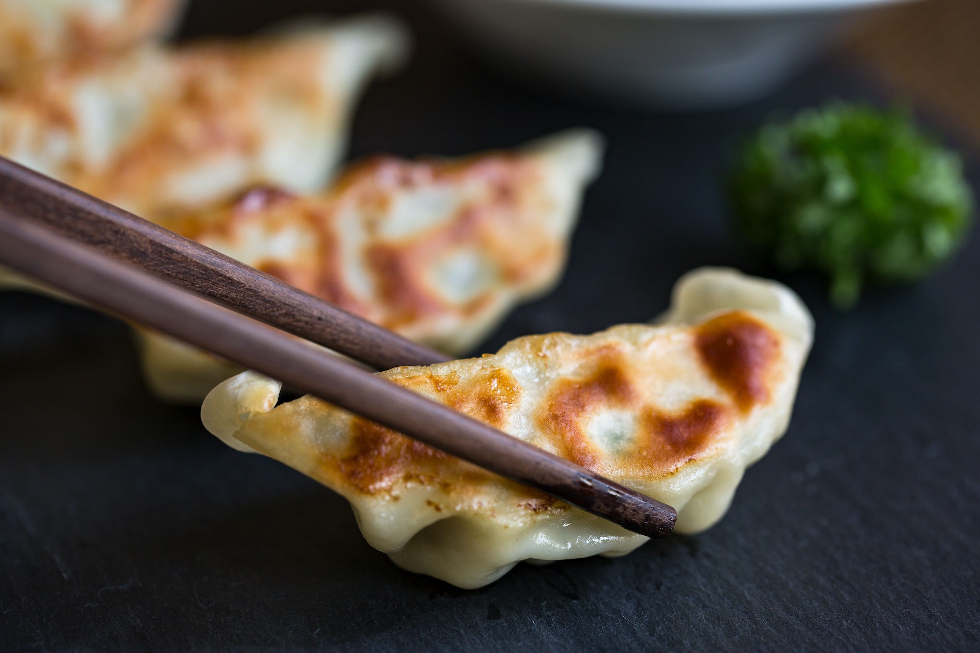 Japanese Gyoza or Jiaozi in Chinese